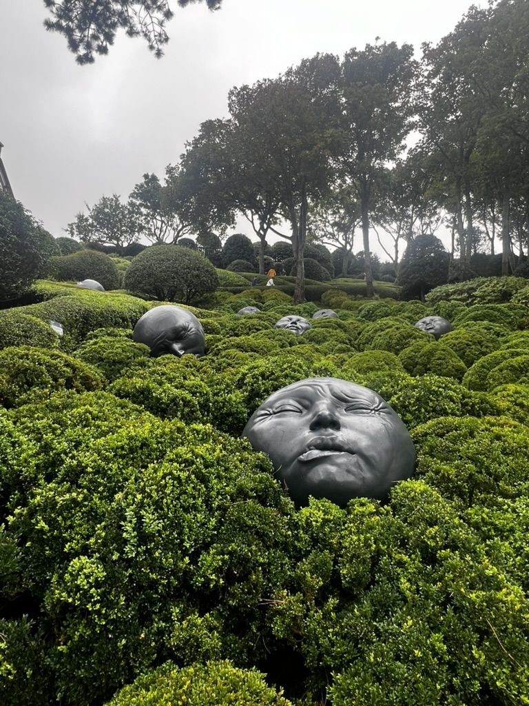Étretat,France,güyzd,Jardin